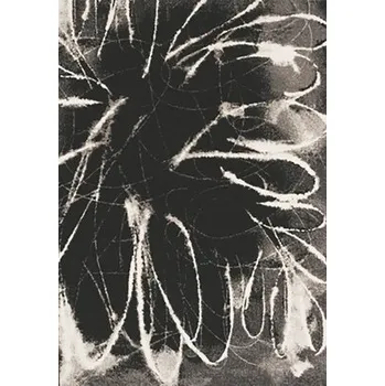 Koberec Koberec Infinity 32979/3565, 160 x 230cm