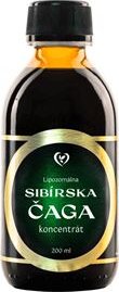 Čaga sibiřská - liposomální koncentrát