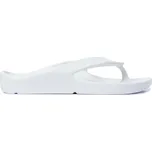 Peter Legwood Shark Bianco