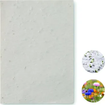 List A6 se semínky květin Asido