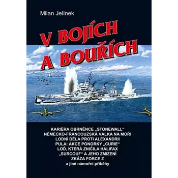 V bojích a bouřích (Milan Jelínek, 2014)