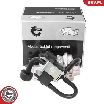 Ventil palivového systému AGR-Ventil ESEN SKV 14SKV268