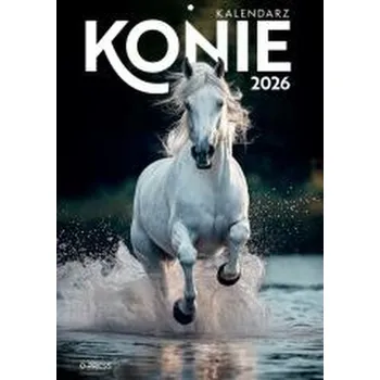 Kalendář Kalendarz 2026 A4 Wieloplanszowy Konie