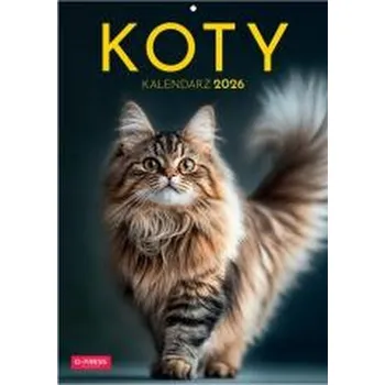 Kalendář Kalendarz 2026 A4 Wieloplanszowy Koty