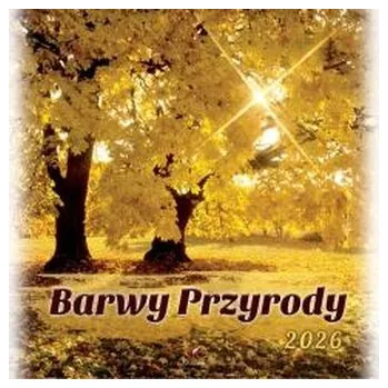 Kalendář Kalendarz 2026 wieloplanszowy 33x33cm Barwy...