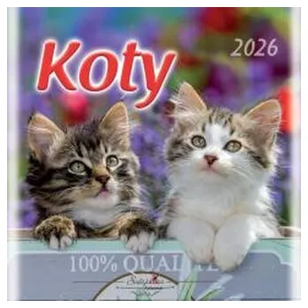 Kalendář Kalendarz 2026 wieloplanszowy 33x33cm Koty