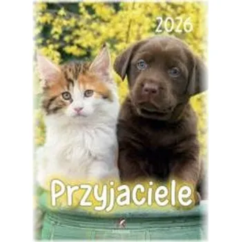 Kalendář Kalendarz 2026 wieloplanszowy B4 Przyjaciele