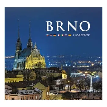 Umění Brno - střední / vícejazyčné - Libor Sváček