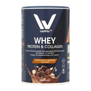 Protein WellMix Směs na přípravu nápoje s příchutí oříšková čokoláda Whey Protein & Collagen 350 g
