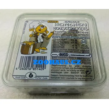 Dekorace do terária Cvrček domácí dospělci, krabička cca 40 ks
