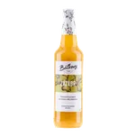 Báťkovy sirupy Zázvorový sirup 500 ml