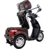 Elektrický invalidní skútr inSPORTline Zorica Lion elektrický tříkolový vozík