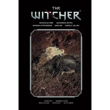 Komiks pro dospělé The Witcher Volume 2