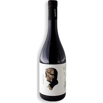 Cantina Teanum Otre Primitivo Puglia IGP 0,75 l, 15 % vol.