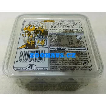 Dekorace do terária Cvrček domácí střední, krabička cca 70 ks