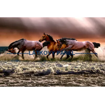 Látkový panel - Kůň - KON - 23 Velikost: 20x13cm, Materiál: Kočárkovina