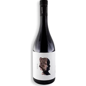 Cantine Teanum Otre Syrah Puglia IGP 0,75 l, 14 % vol.