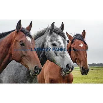 Látkový panel - Kůň bílý - KON - 06 Velikost: 30x20cm, Materiál: Úplet