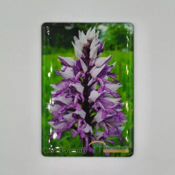 Dekorativní magnet Magnetka - Vstavač vojenský