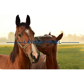 Látkový panel - Kůň - KON - 21 Velikost: 20x13cm, Materiál: Bavlna