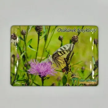 Dekorativní magnet Magnetka - Otakárek fenyklový