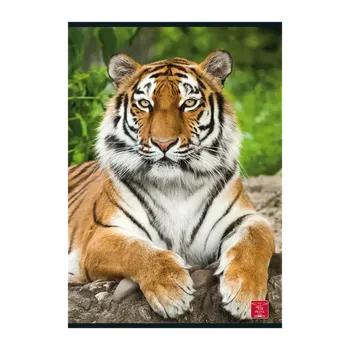 Sešit Pigna Animal Sešit A5/40 linkovaný, různé druhy