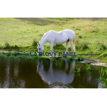 Látkový panel - Kůň - KON - 15 Velikost: 40x27cm, Materiál: Bavlna