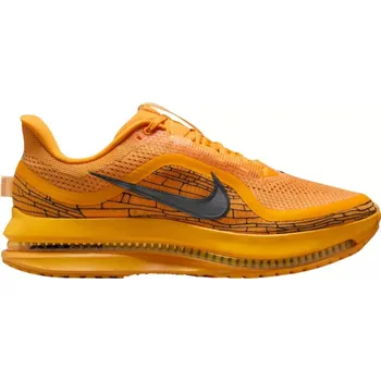 Pánská běžecká obuv Nike Pánské Běžecké Boty Nike Pegasus Premium