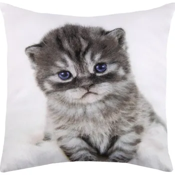 Dekorativní polštářek Dekorační polštářek Kotě s modrýma očima, 25x25 cm