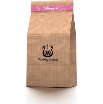 Bylinná napářka Steamy Gynekologické potíže 168g (6 dávek) (B6GP)