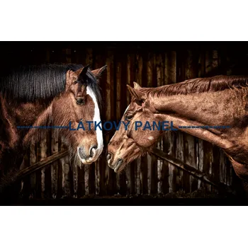 Látkový panel - Kůň - KON - 20 Velikost: 40x27cm, Materiál: Teplákovina nepočesaná