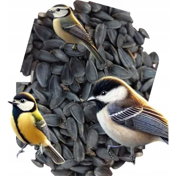 Pro ptáka Slunečnice černá pro ptáky, čištěné zrno 10 kg dárek tuková koule