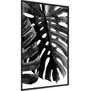 Obraz Plakát v Rámu Natura LISTY Černobílé 50x70