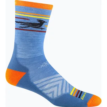 Pánské ponožky Pánské ponožky Darn Tough Frontrunner Micro Crew Cushion surf