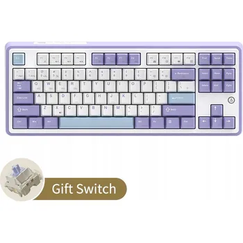 Klávesnice Mechanická klávesnice AK870