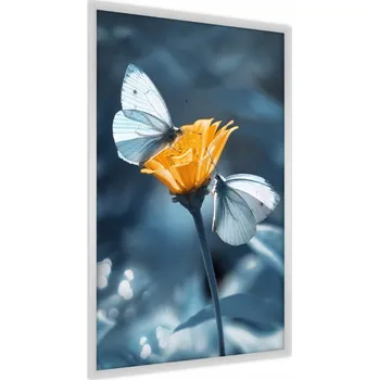 Obraz Plakát na Zeď MOTÝLI Květiny Příroda 3D 50x70