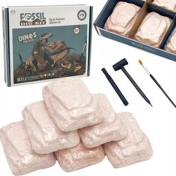Obraz ZESTAW ARCHEOLOG 6 VYKOPÁVEK FOSILIE DINOSAURUS KOSTRA DLÁTO KLADIVO