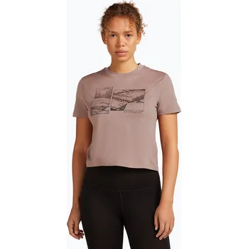 Dámské tričko Dámské tričko Icebreaker Merino 150 Tech Lite Crop The Climb summit