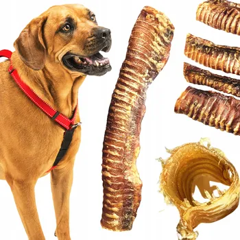 Pamlsek pro psa POCHOUTKA PRO PSA PŘÍRODNÍ SUŠENÁ HOVĚZÍ PRŮDUŠNICE CELÁ 1 KS