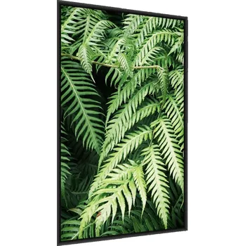 Obraz Plakát v rámu ZELENÁ kapradina Listy Ozdoba 30x40