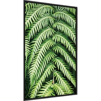 Obraz Plakát na zeď Zelené LISTY Kapradiny 3D 30x40
