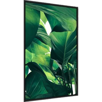 Obraz Plakát v Rámu Listy Ďábelského Břečťanu 60x80