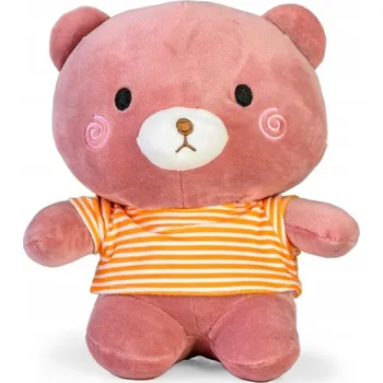 Obraz MEDVÍDEK V TRIČKU 25 CM