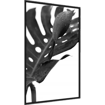 Obraz Plakát na zeď Černobílý LIST Monstera 50x70