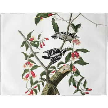 prostírání Prostírání na stůl Datel Downy Woodpecker James Audubon