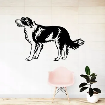 Samolepící dekorace Pes Border kolie - vinylová samolepka na zeď 80x50cm