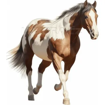 Nažehlovačka Americký strakatý kůň klus - 18 x 20 cm