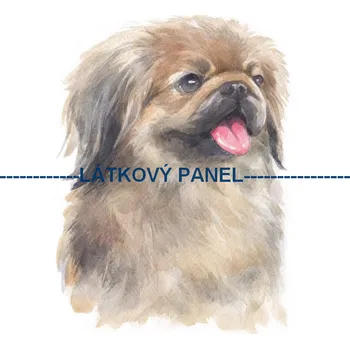 Látkový panel - Pes - PS-103 Velikost: 25x25cm, Materiál: Kočárkovina