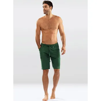Pánské kraťasy Pánské bavlněné šortky Sam Dkaren Barva: Zelená, Velikost: L