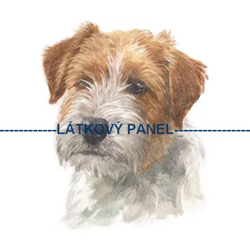 Látkový panel - Pes - PS-130 Velikost: 60x60cm, Materiál: Úplet